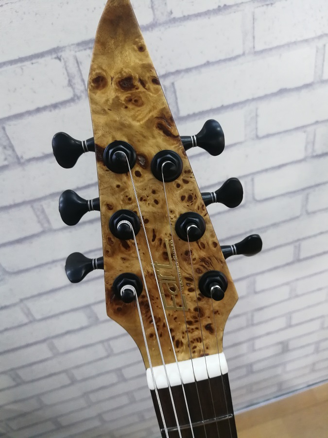 Eart Brand Solid Safflower Pear Explorer 1 Electric Guitar Aiersimusic China No 1 Online Music Store