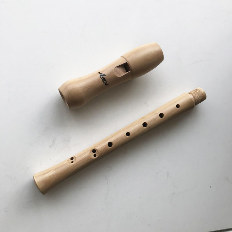 cleaning stick with comb Aiersi professional musical instrument 2 pieces maple wood soprano beginner recorder flute with fingering table plastic hard case German Finger 
