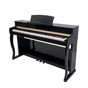 Digital Piano