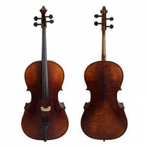 Cello/Contrabass