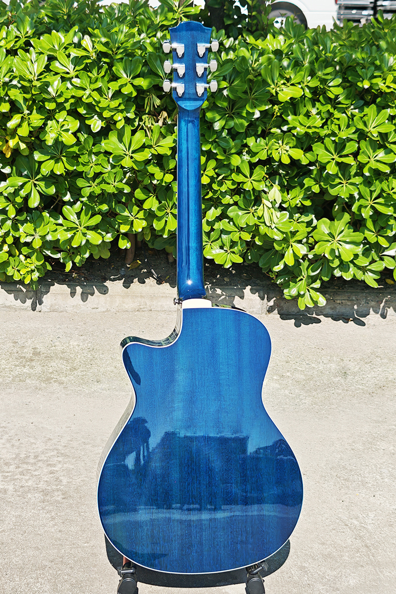 blueburst acoustic guitar (9)